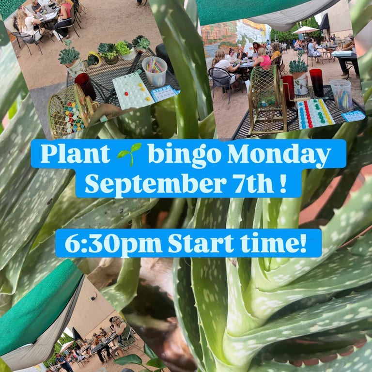 Savor Our Dinner Offerings