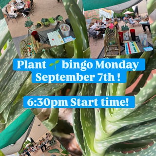 Plant Bingo Ticket (9/7/26)
